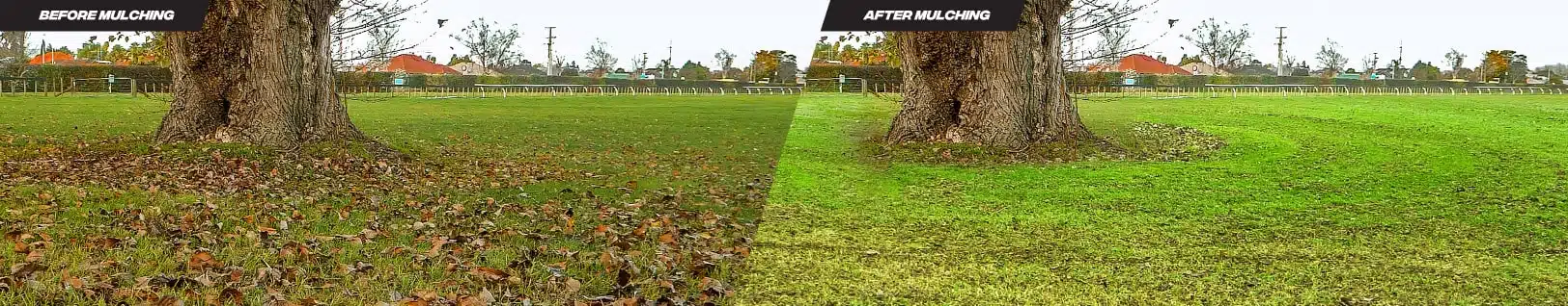 Before-and-After_Banner